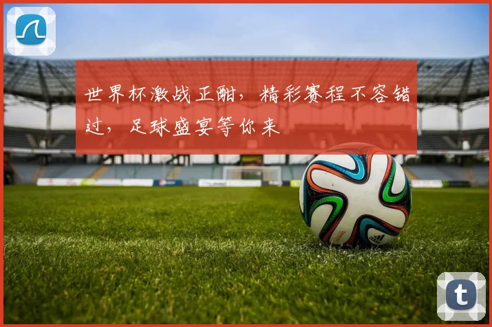 世界杯激战正酣，精彩赛程不容错过，足球盛宴等你来