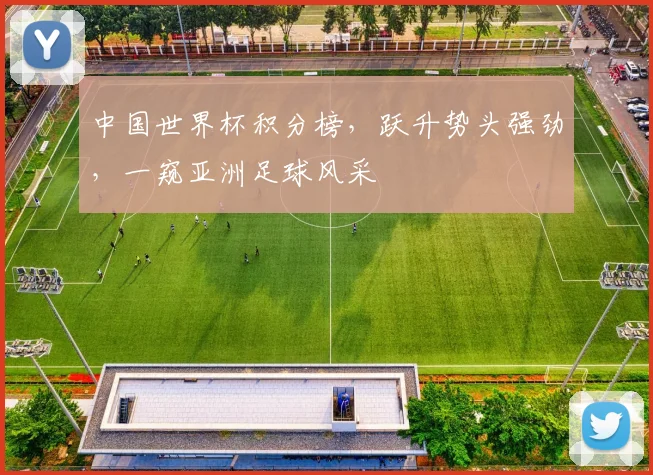 中国世界杯积分榜，跃升势头强劲，一窥亚洲足球风采