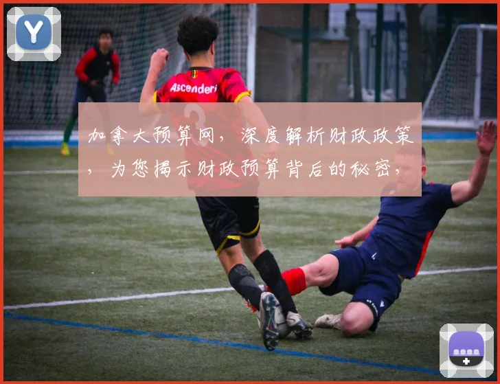 加拿大预算网，深度解析财政政策，为您揭示财政预算背后的秘密，助力理财