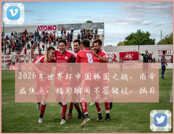 2026年世界杯中国韩国之战，雨伞成焦点，精彩瞬间不容错过，拭目以待