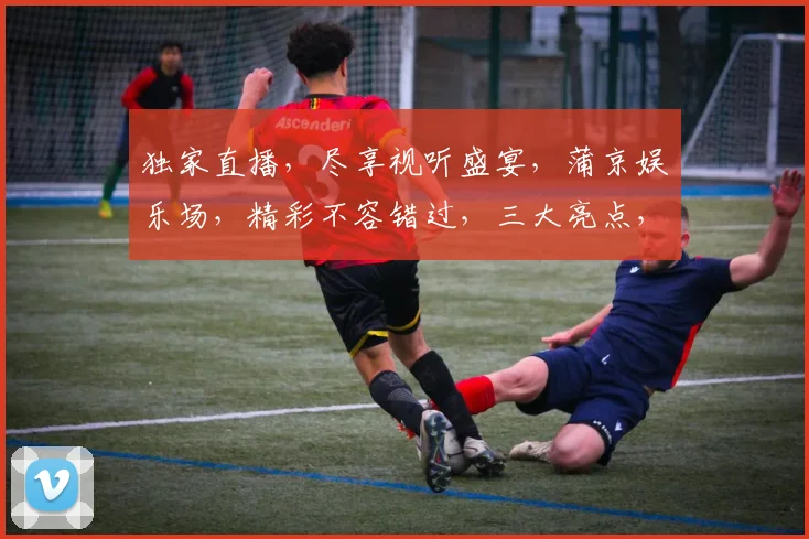 独家直播，尽享视听盛宴，蒲京娱乐场，精彩不容错过，三大亮点，一网打尽，不容错过