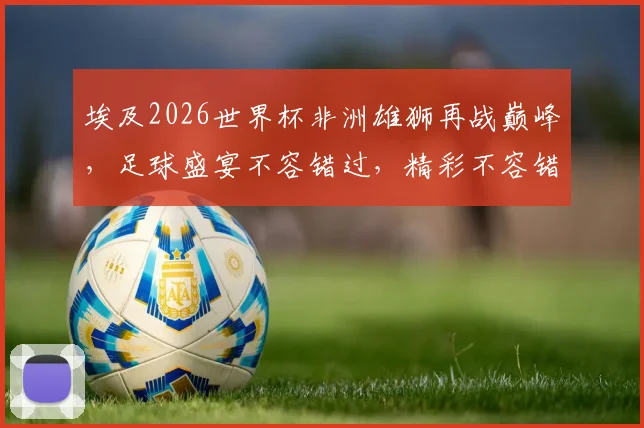 埃及2026世界杯非洲雄狮再战巅峰，足球盛宴不容错过，精彩不容错过