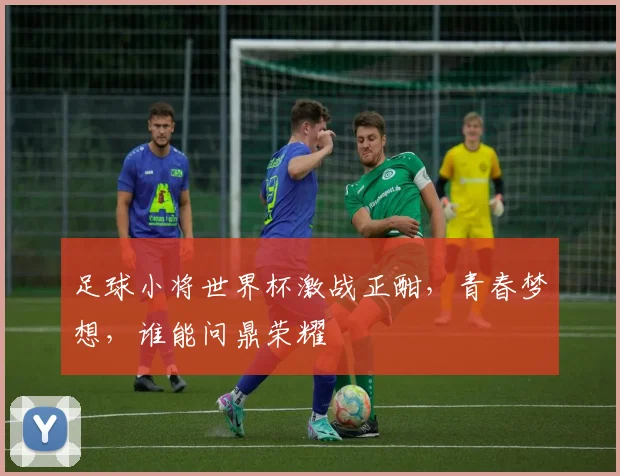 足球小将世界杯激战正酣，青春梦想，谁能问鼎荣耀