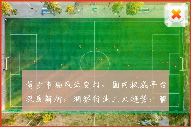 黄金市场风云变幻，国内权威平台深度解析，洞察行业三大趋势，解读黄金投资奥秘，引领财富增长之路